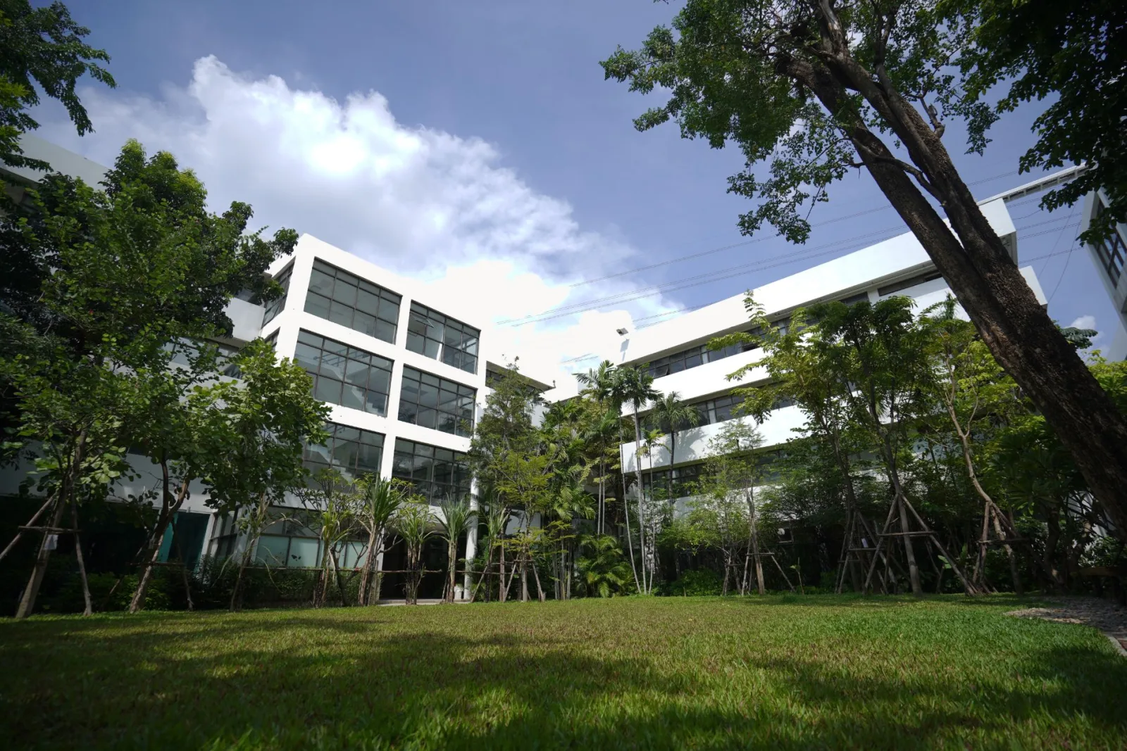 อาคารเรนทรี ออฟฟิศ การ์เด้น (RAINTREE OFFICE GARDEN) ออฟฟิศให้เช่าพระราม 9 ห้วยขวาง สำนักงานทันสมัยในบรรยากาศร่มรื่นใจกลางเมือง