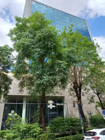 อาคารเศรษฐีวรรณ ทาวเวอร์ SETHIWAN TOWER ออฟฟิศให้เช่าย่านสาทร ทำเลธุรกิจระดับพรีเมียม เดินทางสะดวก ใกล้ BTS สุรศักดิ์